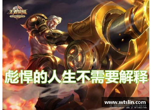 王者荣耀高爆发坦克英雄大揭秘