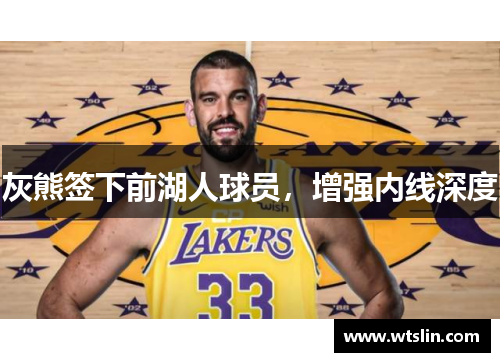 灰熊签下前湖人球员，增强内线深度