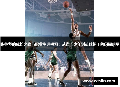 陈林坚的成长之路与职业生涯探索：从青涩少年到篮球场上的闪耀明星